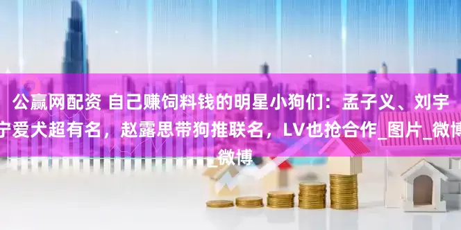 公赢网配资 自己赚饲料钱的明星小狗们：孟子义、刘宇宁爱犬超有名，赵露思带狗推联名，LV也抢合作_图片_微博